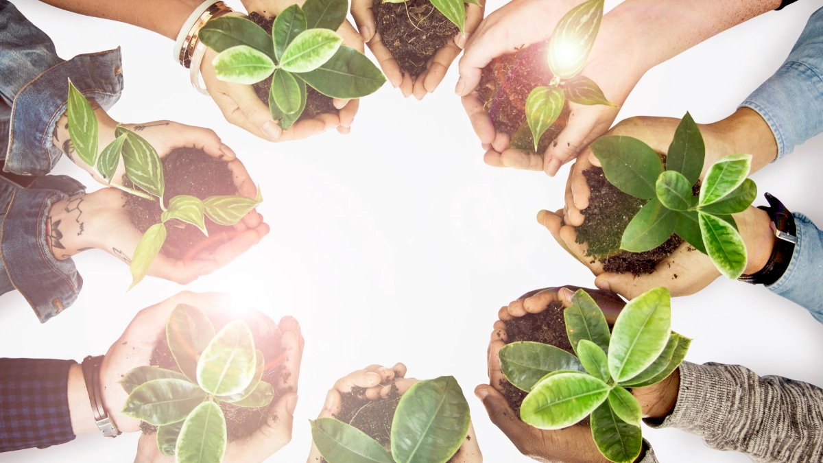 Hands with plants in them
