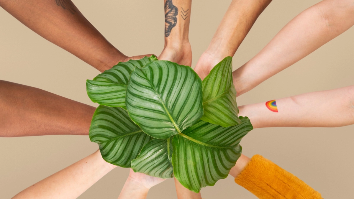 A group of hands holding a plant
